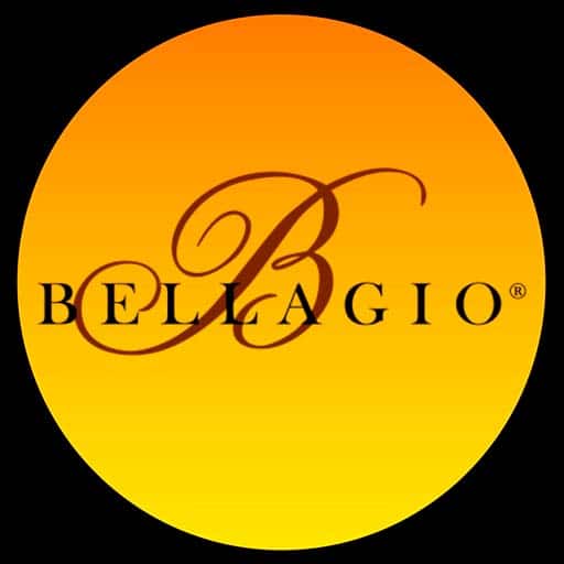 Bellagio Shows